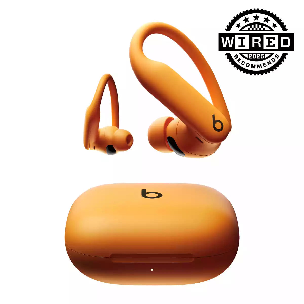Buy Beats Powerbeats Pro 2 Wireless Sport Earbuds from Vmart in Pakistan