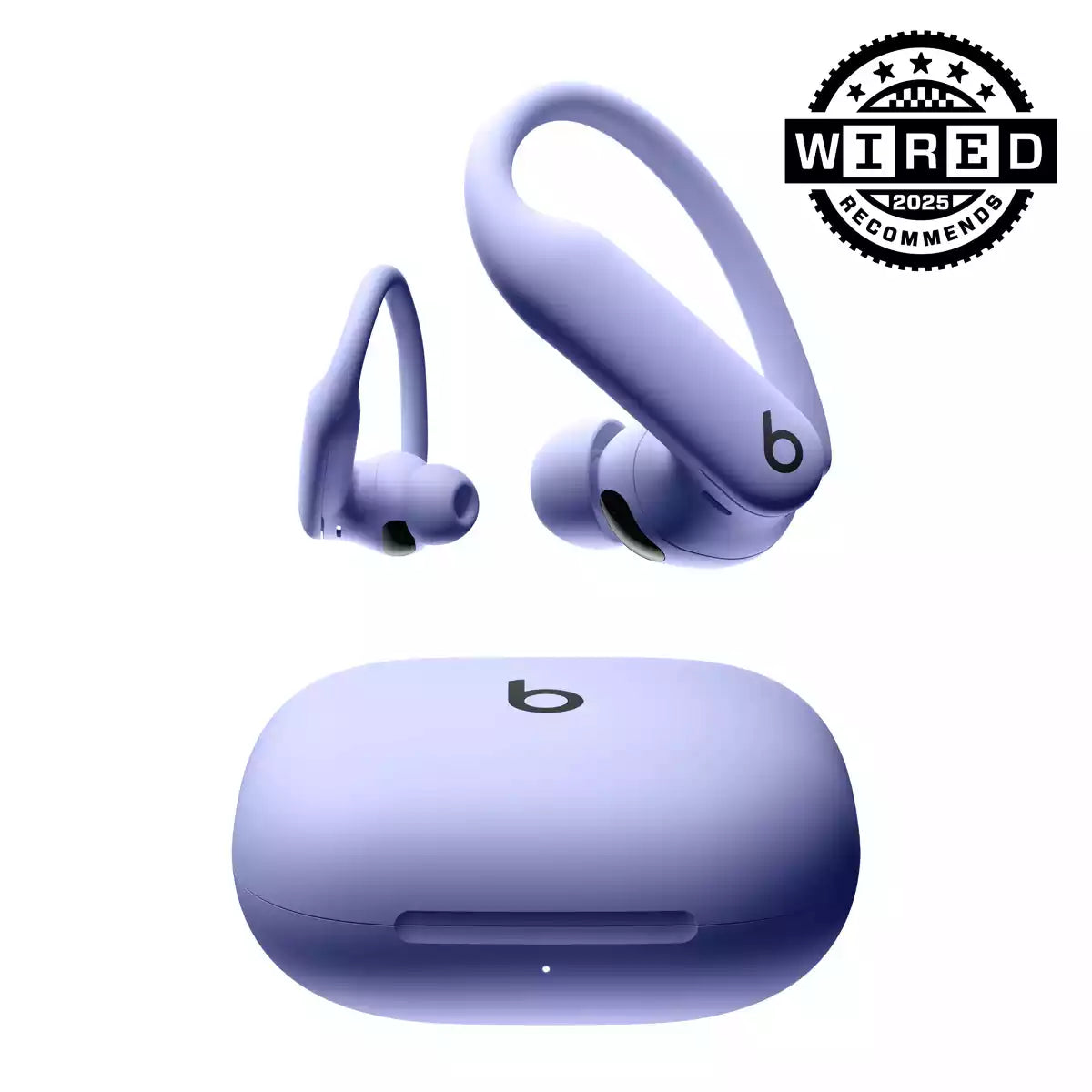 Buy Beats Powerbeats Pro 2 Wireless Sport Earbuds from Vmart in Pakistan
