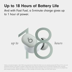 Beats Solo Buds Storm Gray