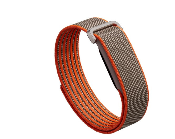 Buy Google Fitbit Air curry from Vmart in Pakistan