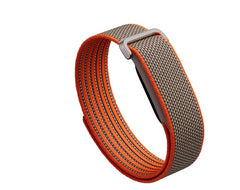 Buy Google Fitbit Air curry from Vmart in Pakistan