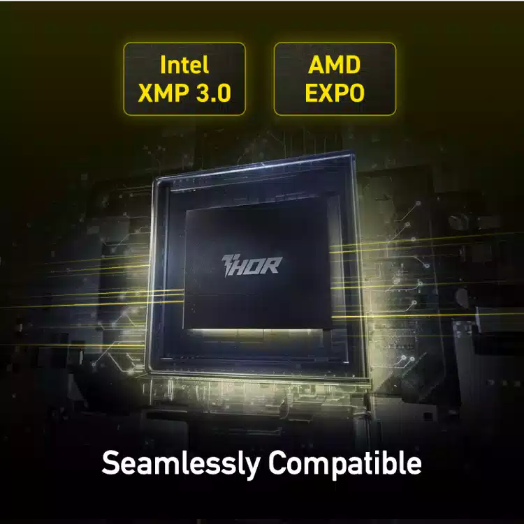 Buy Lexar Thor OC DDR5 Desktop Memory 32GB Kit (2x16GB) 6000MHz from Vmart in Pakistan