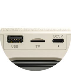 Buy Ronin R-3035 Retro Bluetooth Speaker Vmart in Pakistan