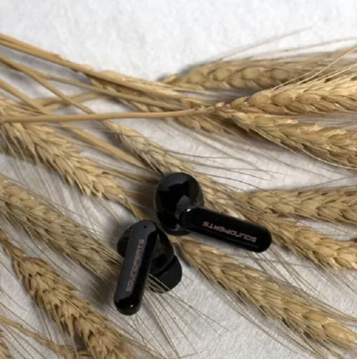 Buy SoundPeats Mac 2 True Wireless Earbuds from Vmart in Pakistan