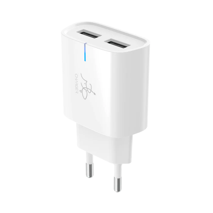 Buy Taar Rapid Duo 12W 2.4A Charger With Type C Cable from Vmart in Pakistan