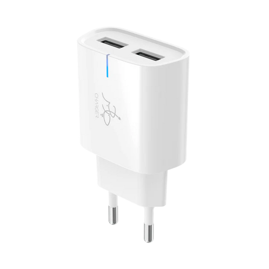 Buy Taar Rapid Duo 12W 2.4A Charger With Type C Cable from Vmart in Pakistan