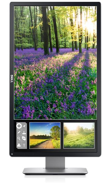 Buy Dell P2414H 24 Mnitor from Vmart in Pakistan