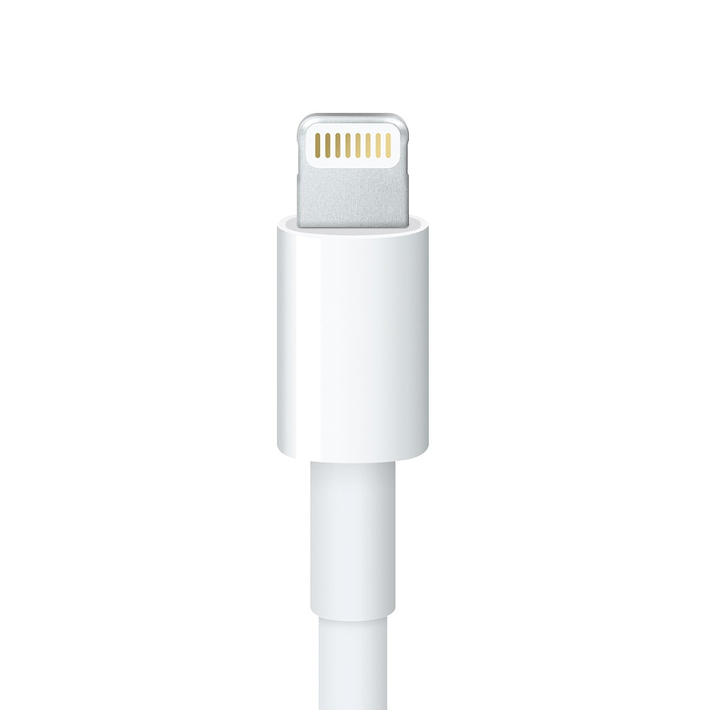 Buy Apple Lightning to 30-pin Adapter (0.2 m) from Vmart in Pakistan
