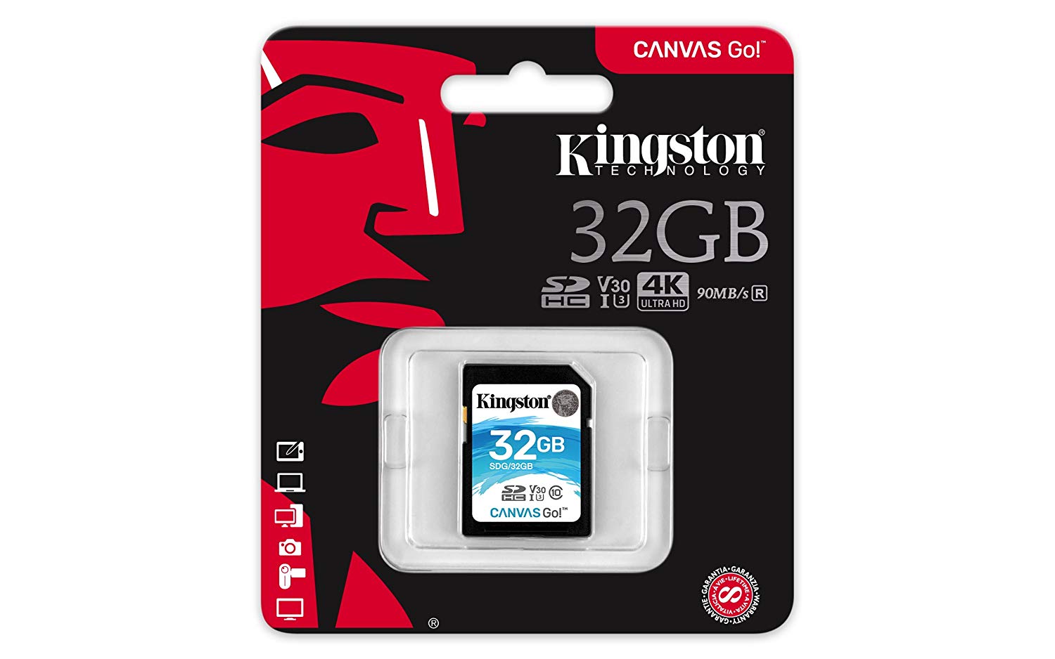 Buy Kingston SDG Canvas GO SDHC Class10 Memory Card - 32GB from Vmart in Pakistan