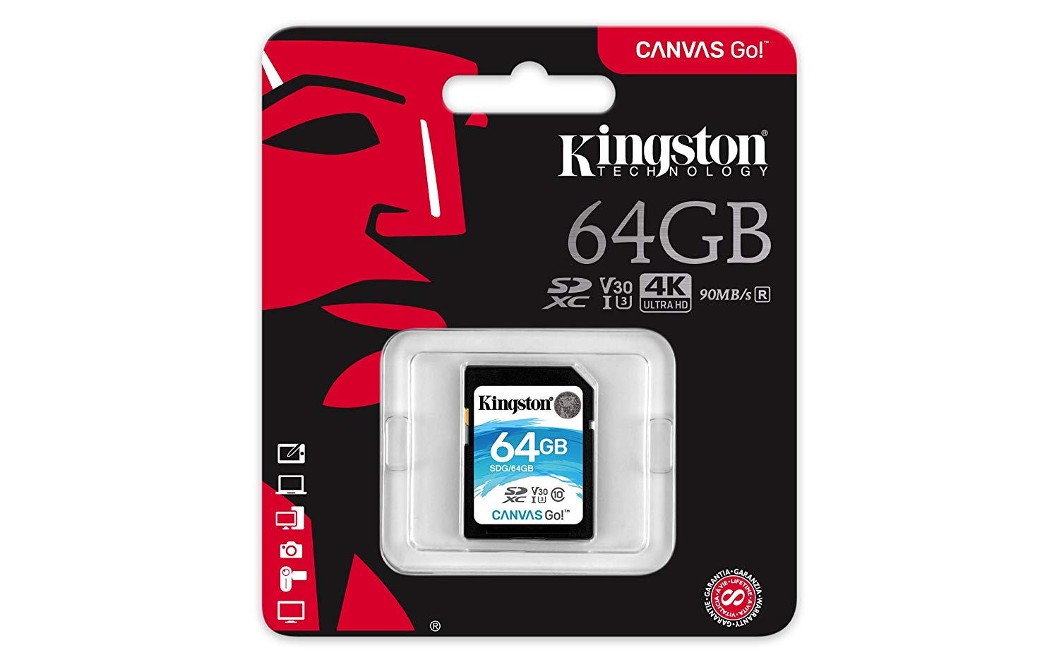Buy Kingston SDG Canvas GO SDHC Class10 Memory Card - 64GB from Vmart in Pakistan