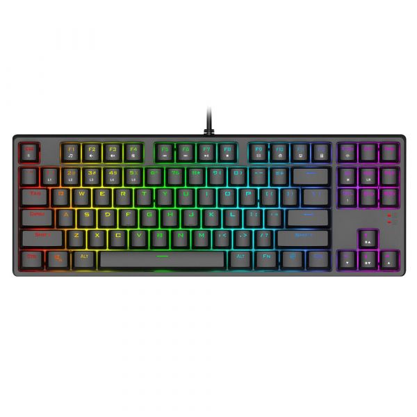 1stPlayer DK 5.0 Lite Tenkeyless Gaming Keyboard