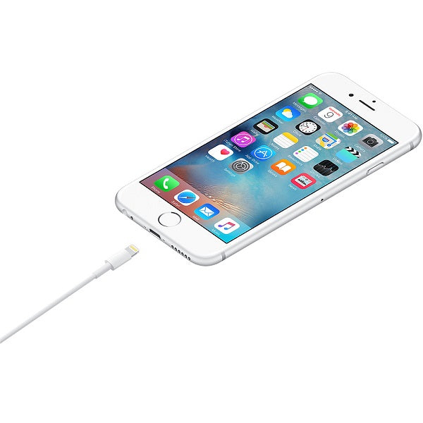 Apple Lightning to USB Cable - 1m