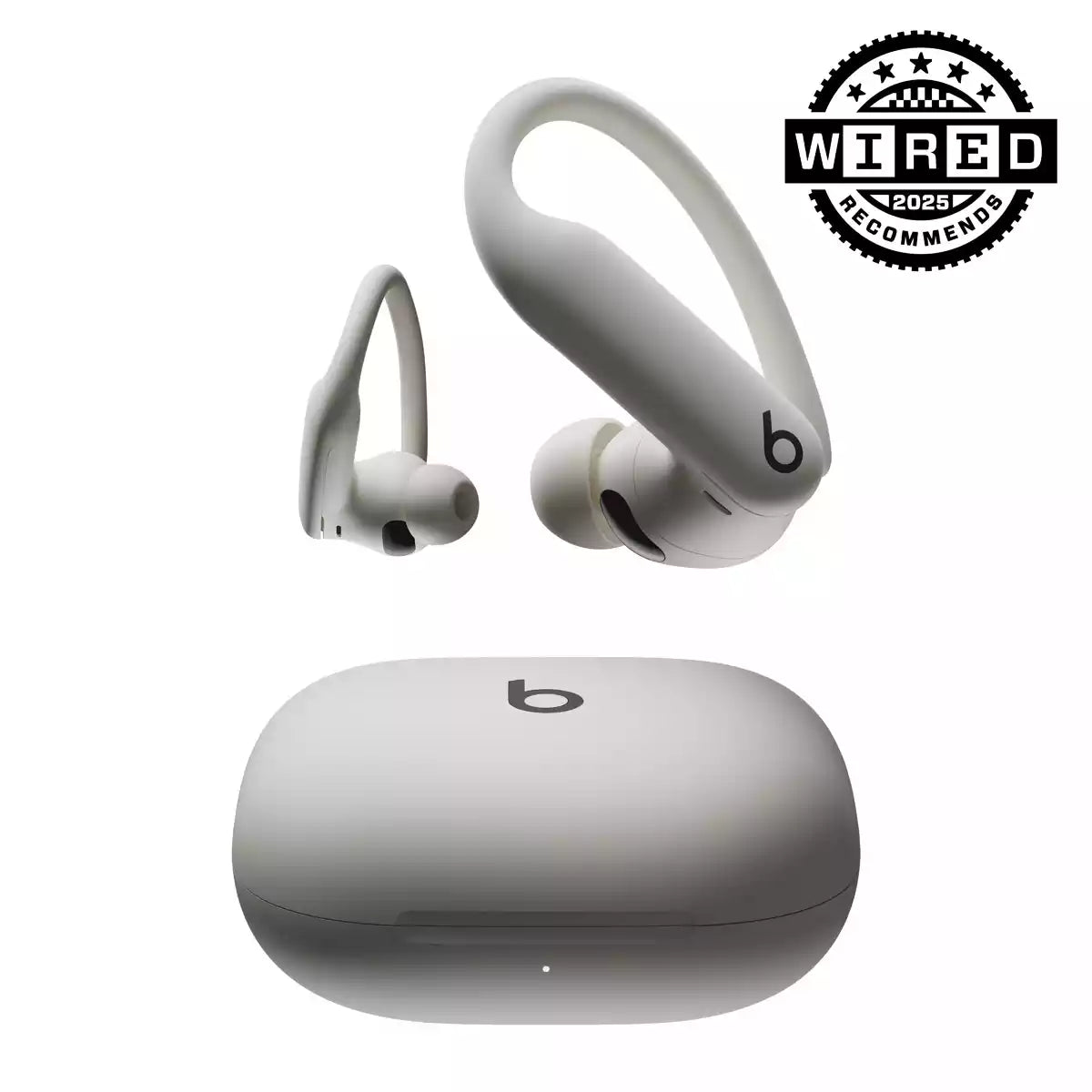 Buy Beats Powerbeats Pro 2 Wireless Sport Earbuds from Vmart in Pakistan