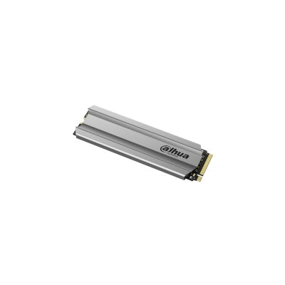 Dahua C900 NVMe M.2 Solid State Drive SSD 256GB