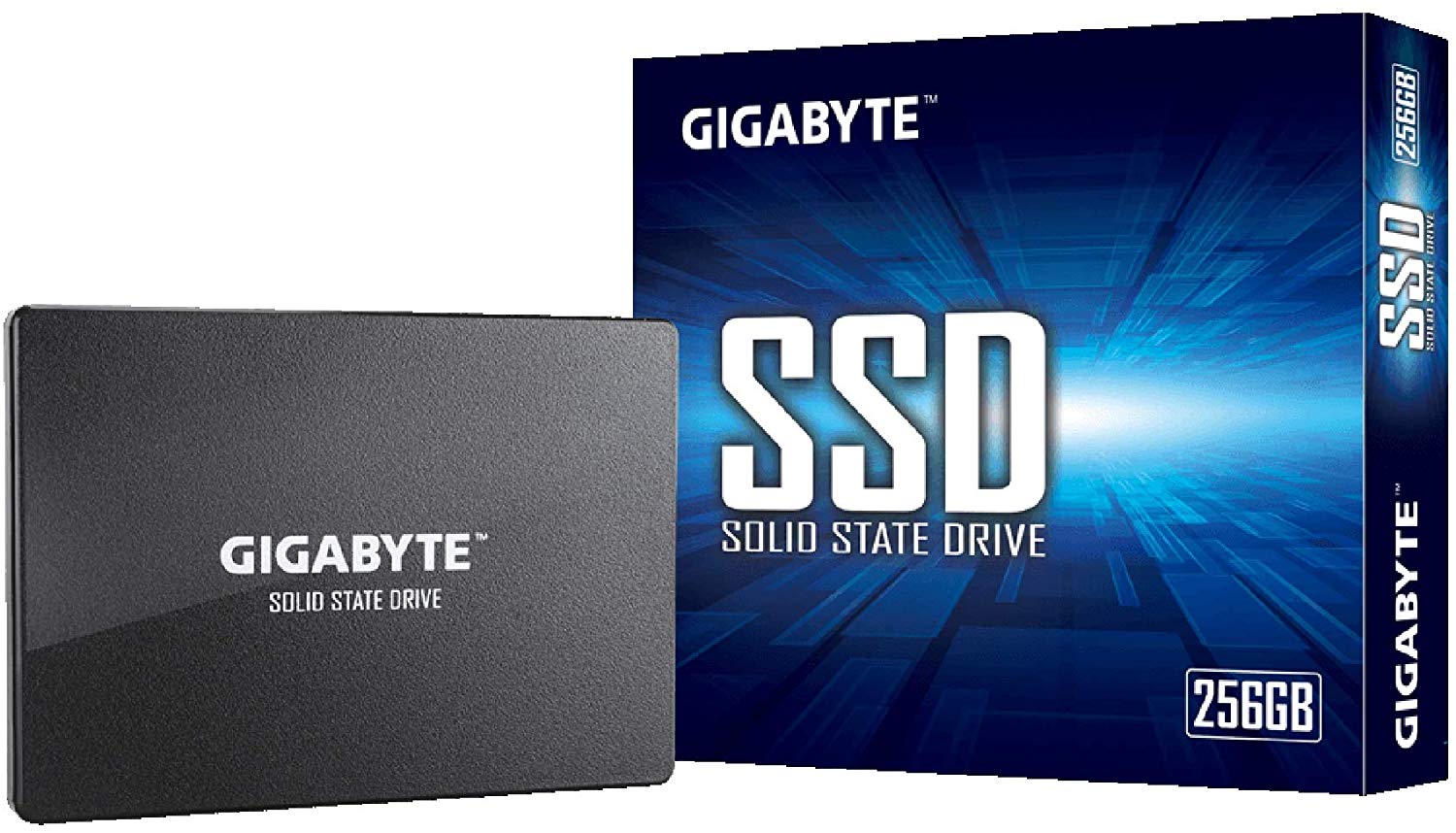 Gigabyte 2.5" SSD 256GB