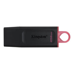 Kingston DataTraveler Exodia 256GB Flash Drive