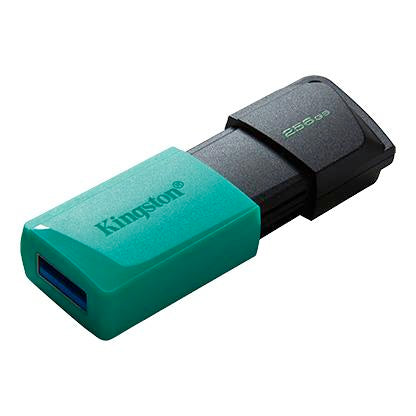 Kingston DataTraveler Exodia M USB Flash Drive 256GB