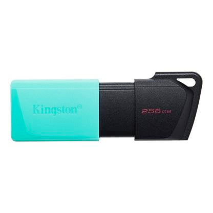 Kingston DataTraveler Exodia M USB Flash Drive 256GB