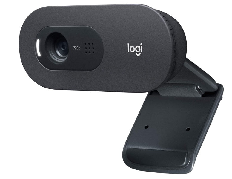 Logitech C505 HD Webcam