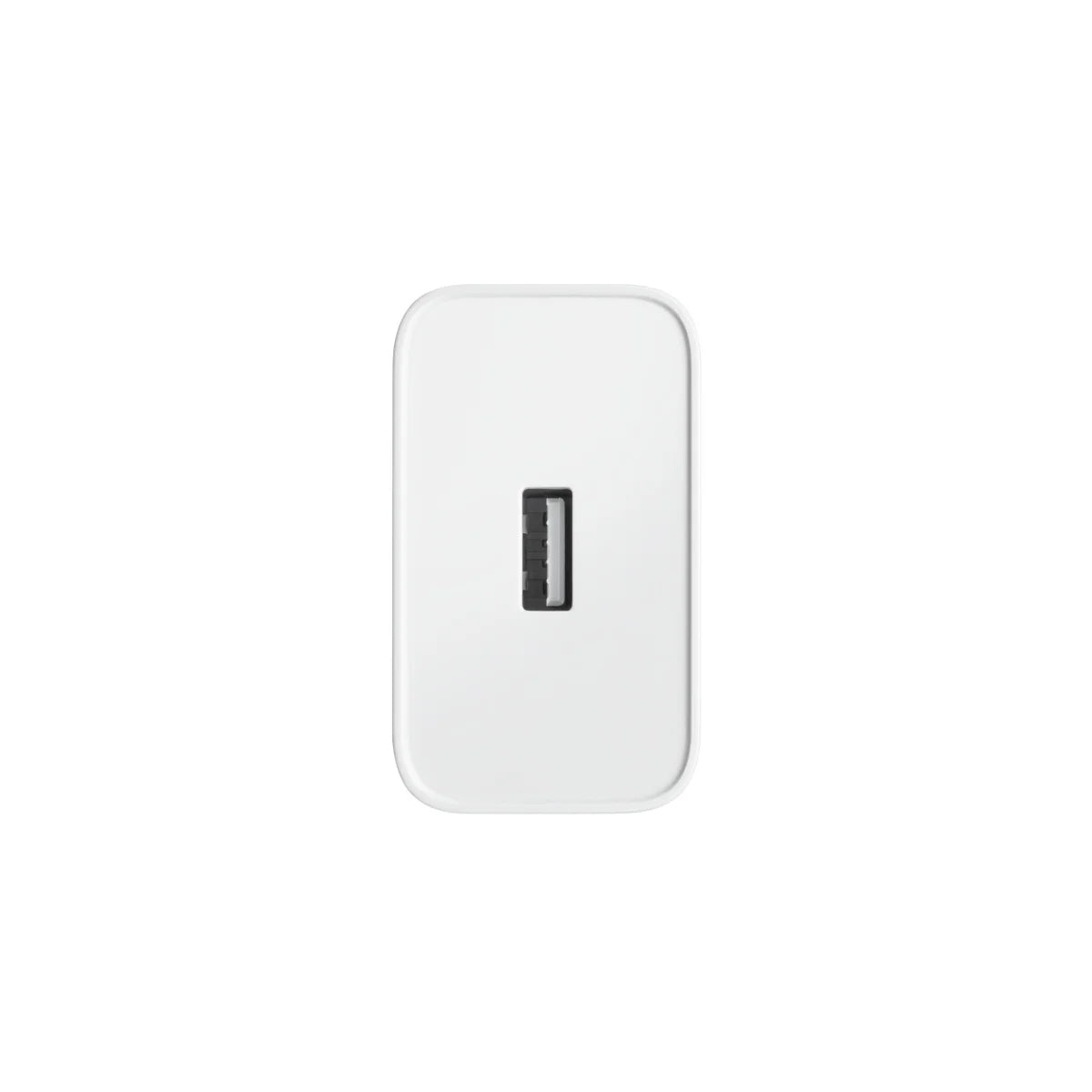 OnePlus SUPERVOOC 80W Type-A Adapter CN