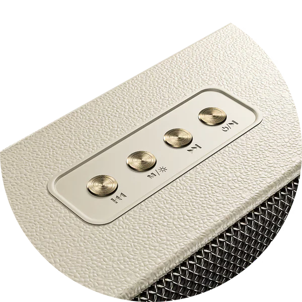 Buy Ronin R-3035 Retro Bluetooth Speaker Vmart in Pakistan