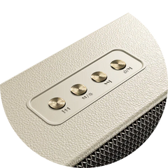 Buy Ronin R-3035 Retro Bluetooth Speaker Vmart in Pakistan