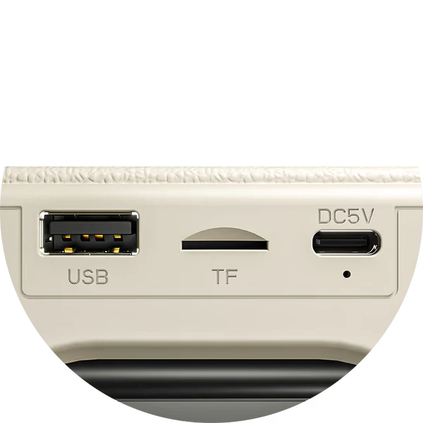 Buy Ronin R-3035 Retro Bluetooth Speaker Vmart in Pakistan