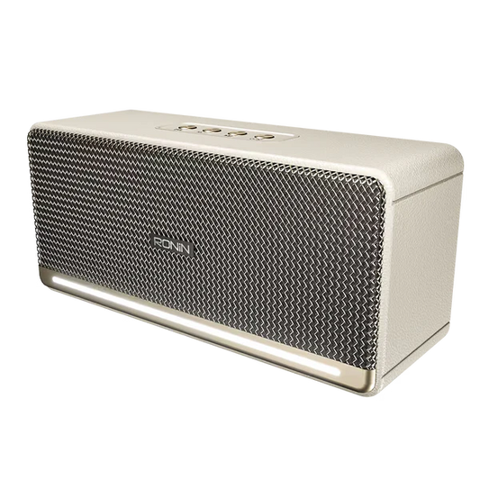 Buy Ronin R-3035 Retro Bluetooth Speaker Vmart in Pakistan