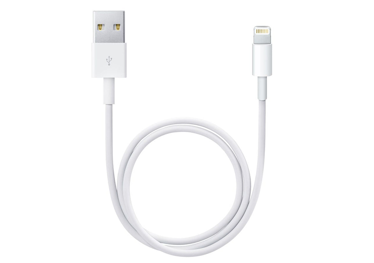 Apple Lightning to USB Cable (0.5 m)