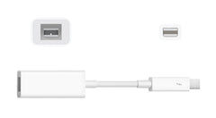 Apple Thunderbolt to FireWire Adapter