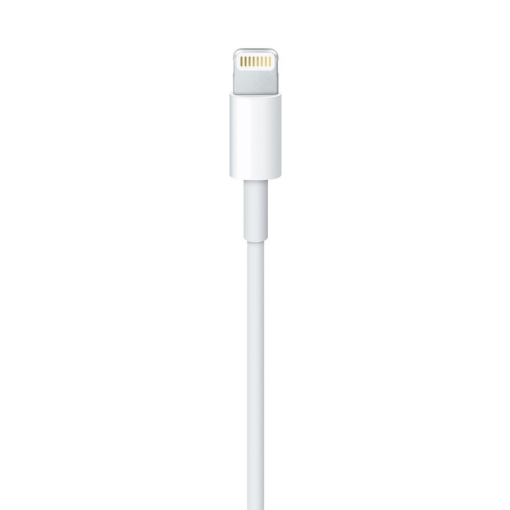 Apple Lightning to USB Cable - 1m