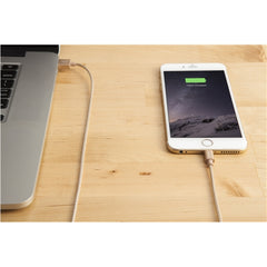 Buy Targus Aluminium Series Lightning to USB Cable - Gold from Vmart in Pakistan