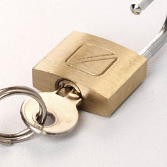 Travel Blue Security Padlock