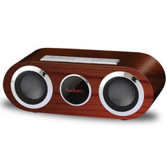 Audionic Mobily II USB/SD Player