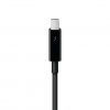 Apple Thunderbolt Cable (2.0 m) - Black