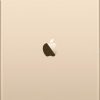 Apple iPad Pro 32GB WiFi (Gold)