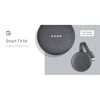 Google Home Mini and Chromecast - Google Smart TV Kit