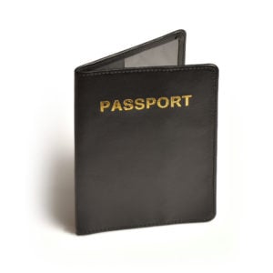 Travel Blue RFID Blocking Leather Passport Cover - Black